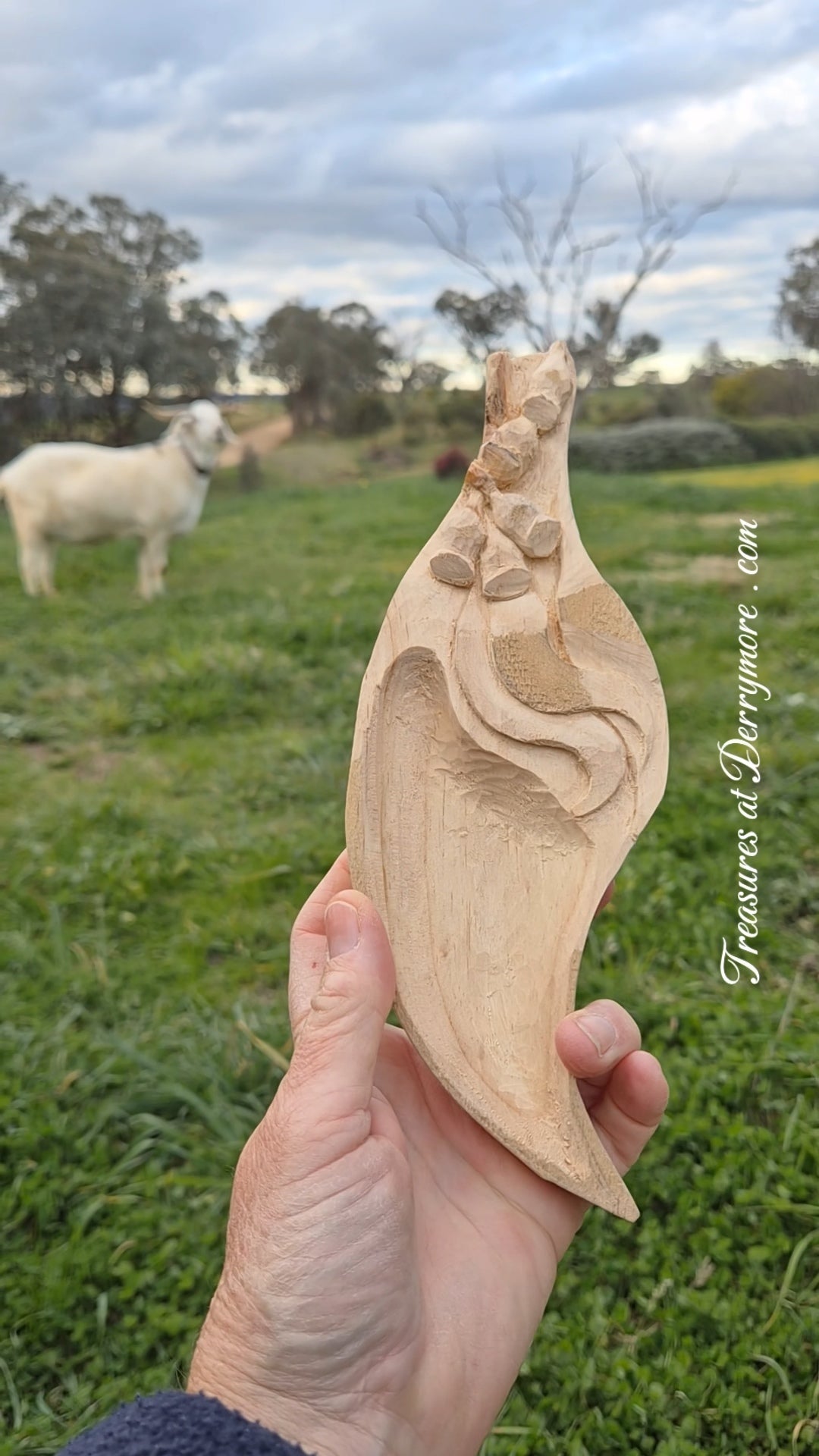 Kinetic bird sculpture, 3D wrens & magpies. Wren plaque & Eucalyptus leaf dish