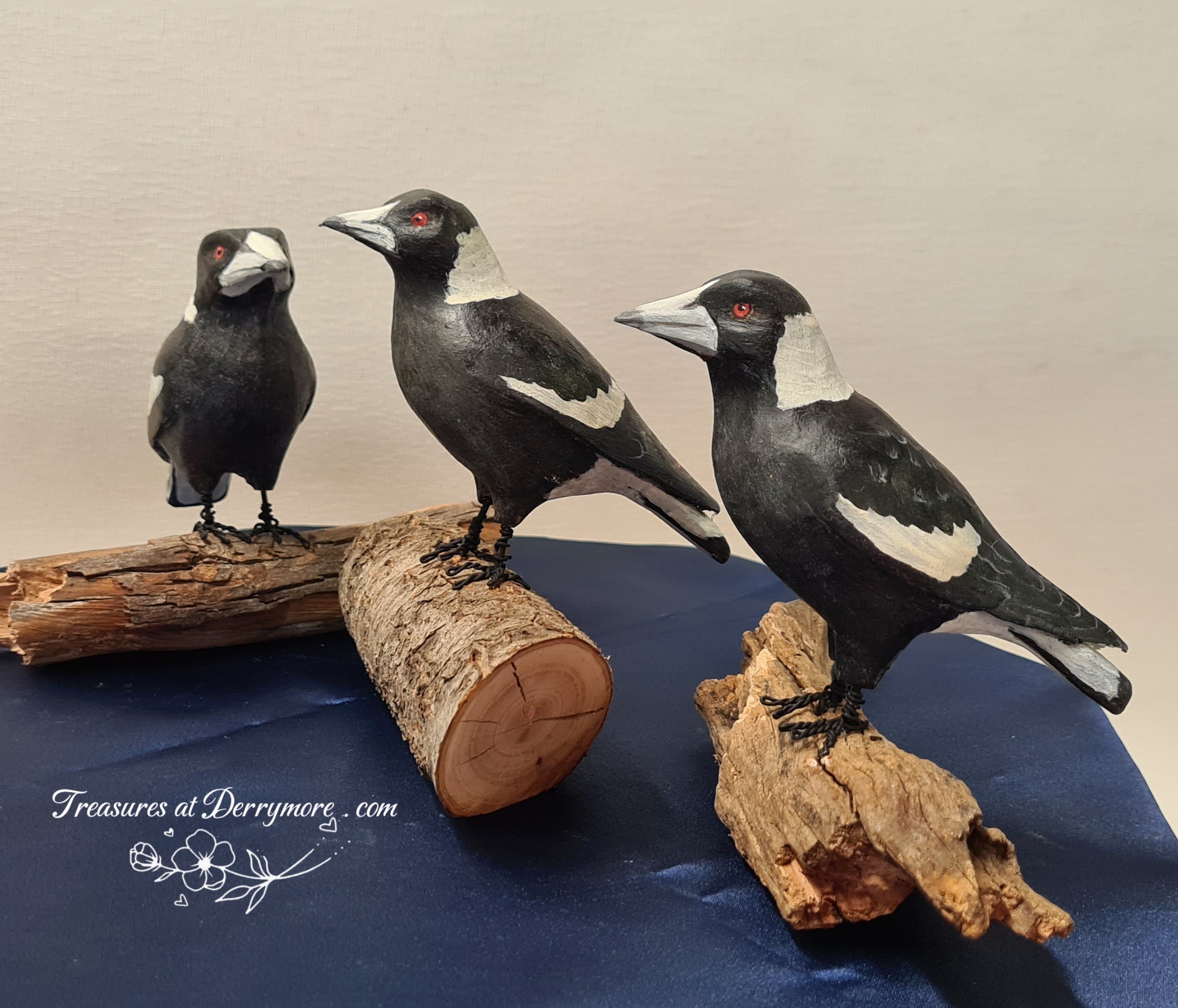 Bird - Australian Magpie
