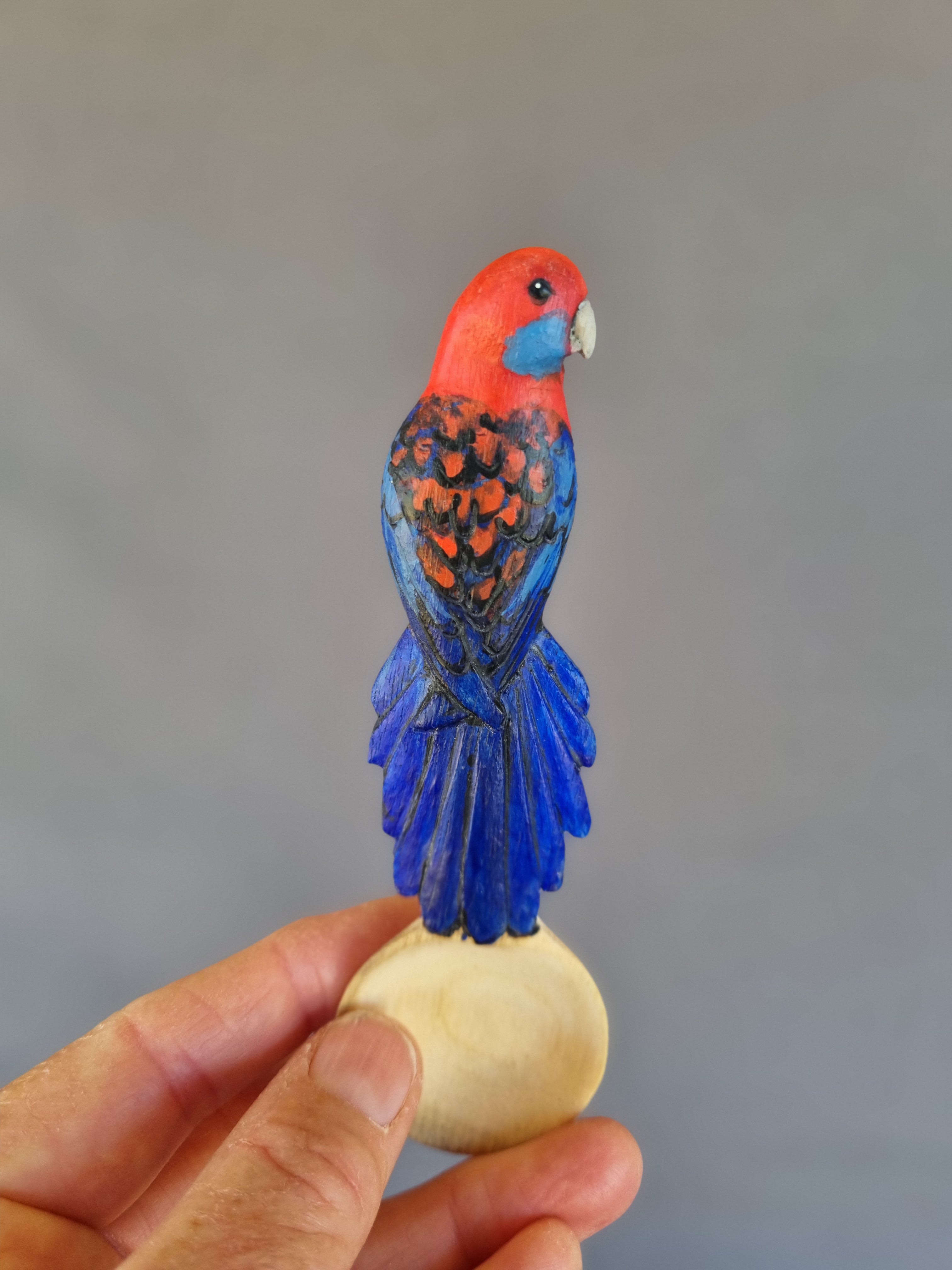 Australian Bird Spoon, painted