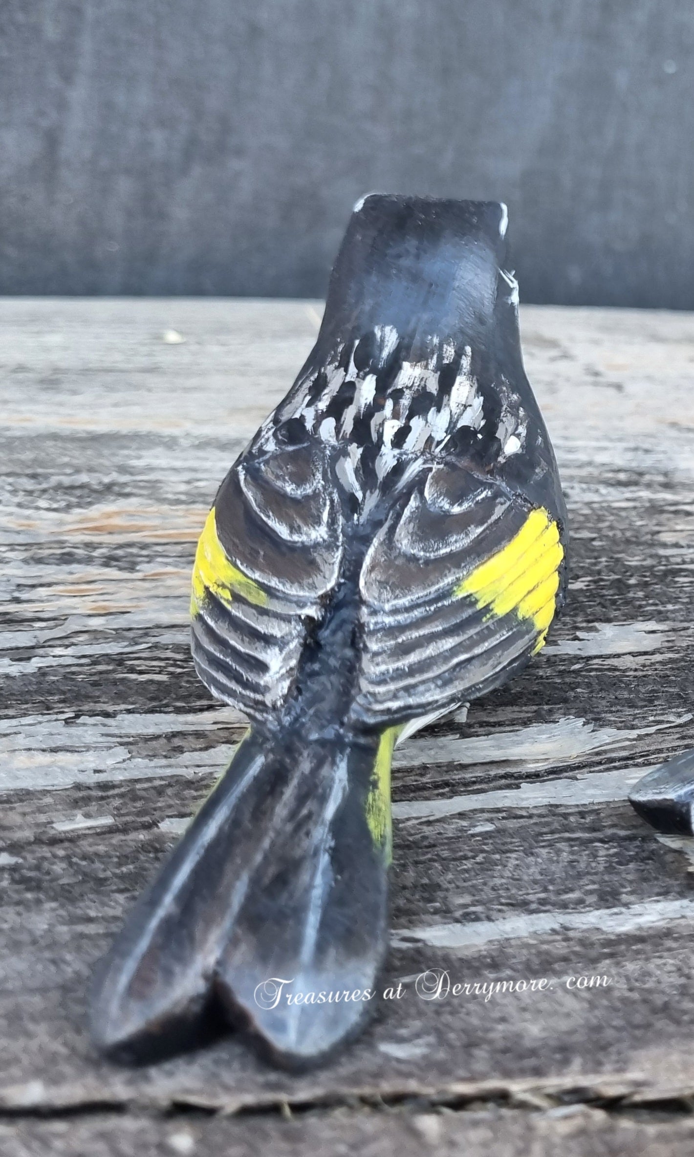Detailed carving on hand carved back of Australian bird,New Holland Honeyeater 