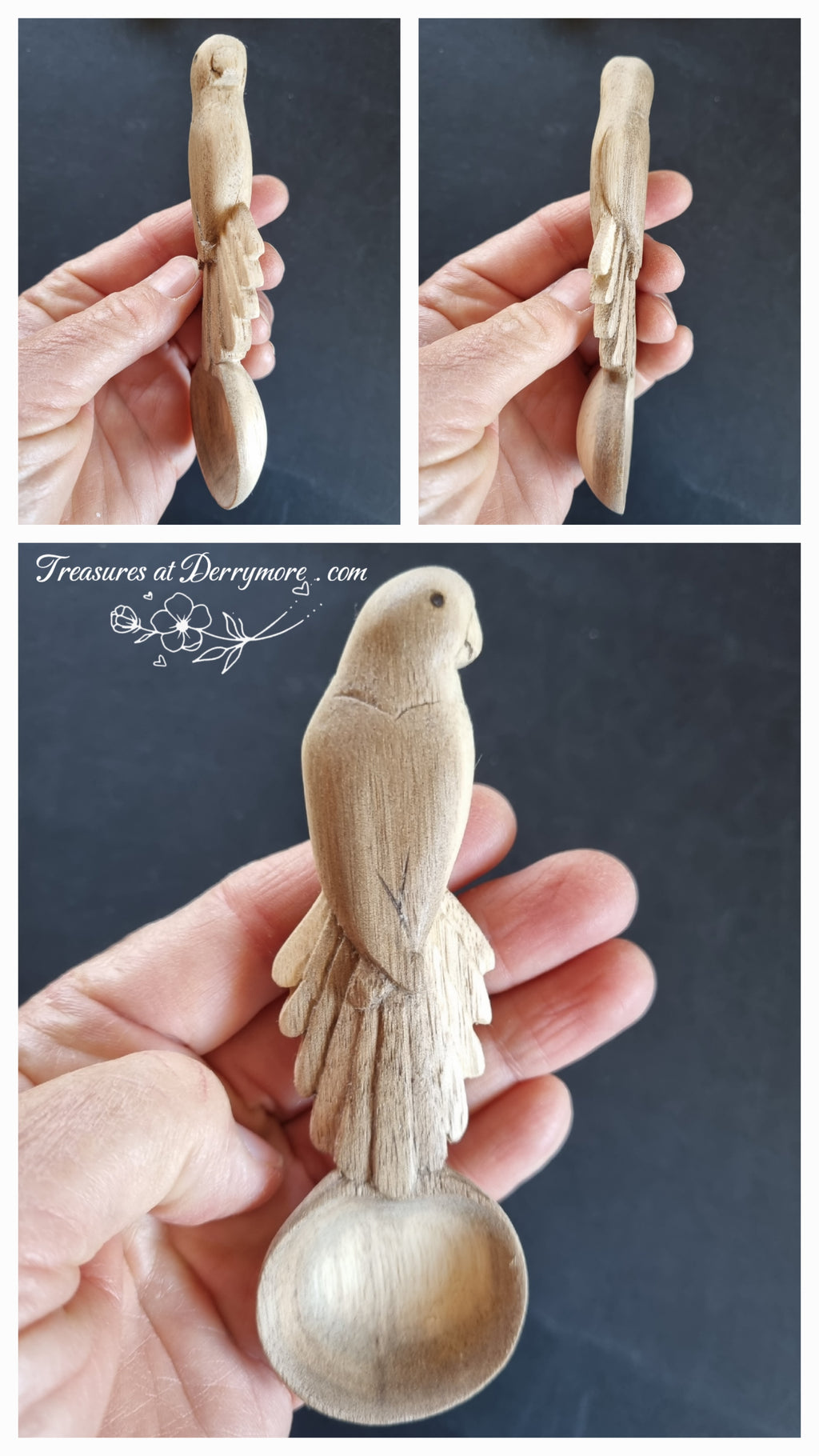 Collage, hand carved wooden Crimson Rosella spoon held in hand