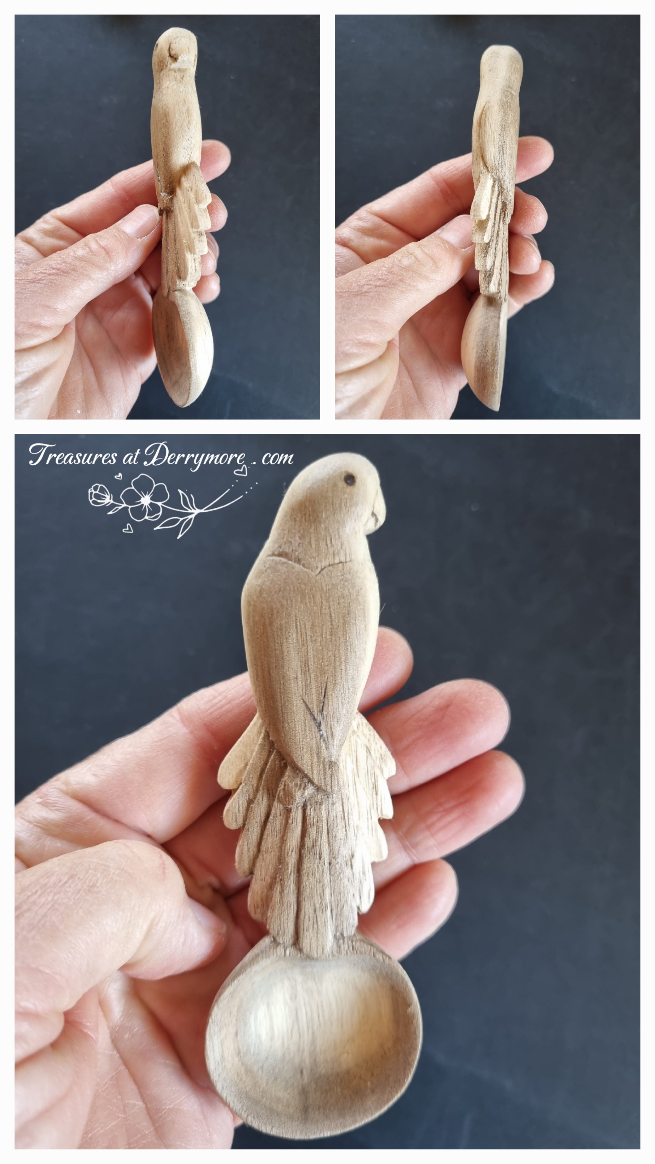 Collage, hand carved wooden Crimson Rosella spoon held in hand