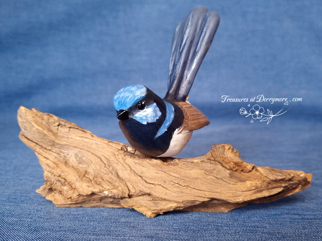 Hand carved Australian bird,Superb Fairy wren. Mounted on natural branch