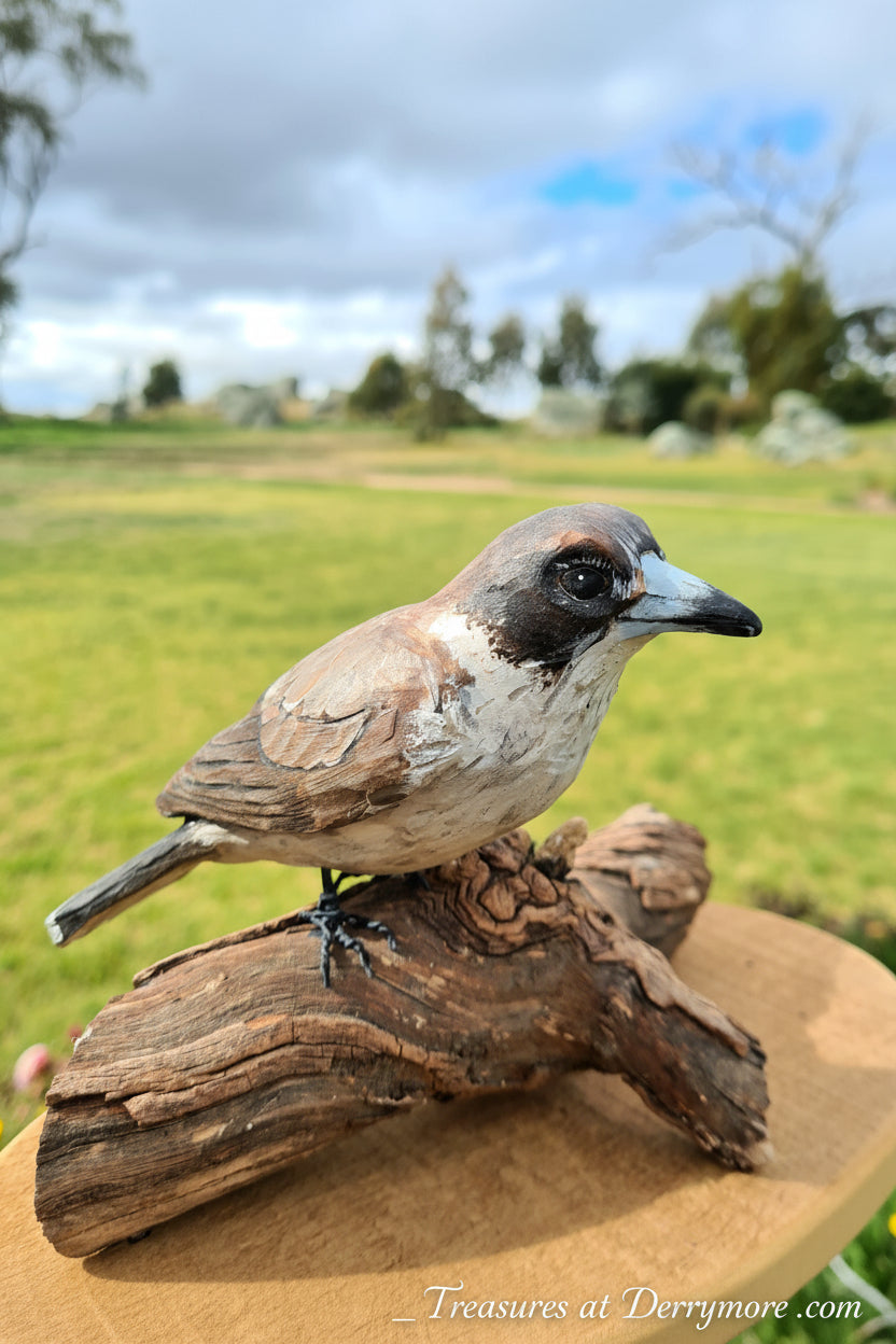 Hand carved wooden Butcherbird sculpture 