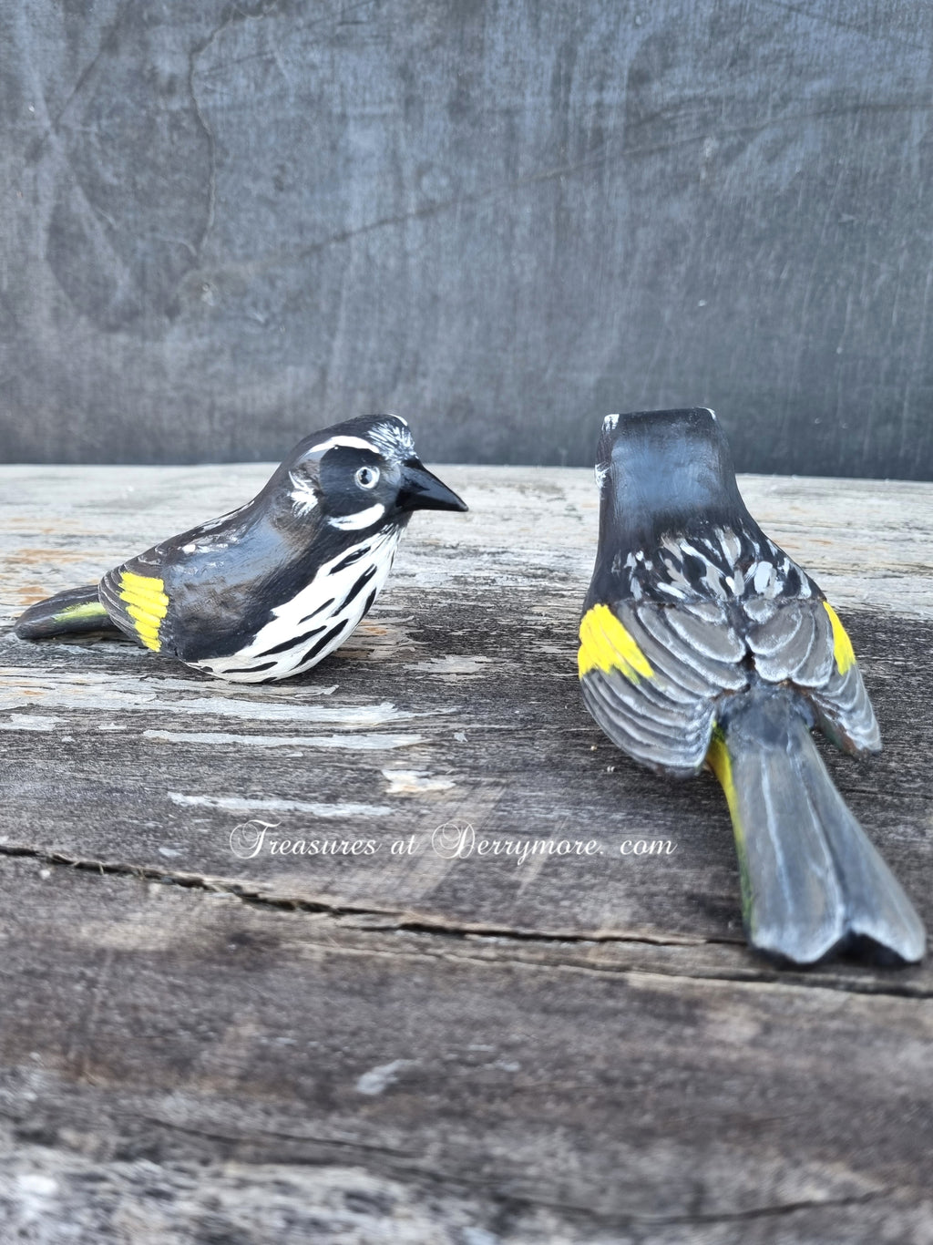 Side view, back view of hand carved Australian bird, New Z
Holland Honeyeater 
