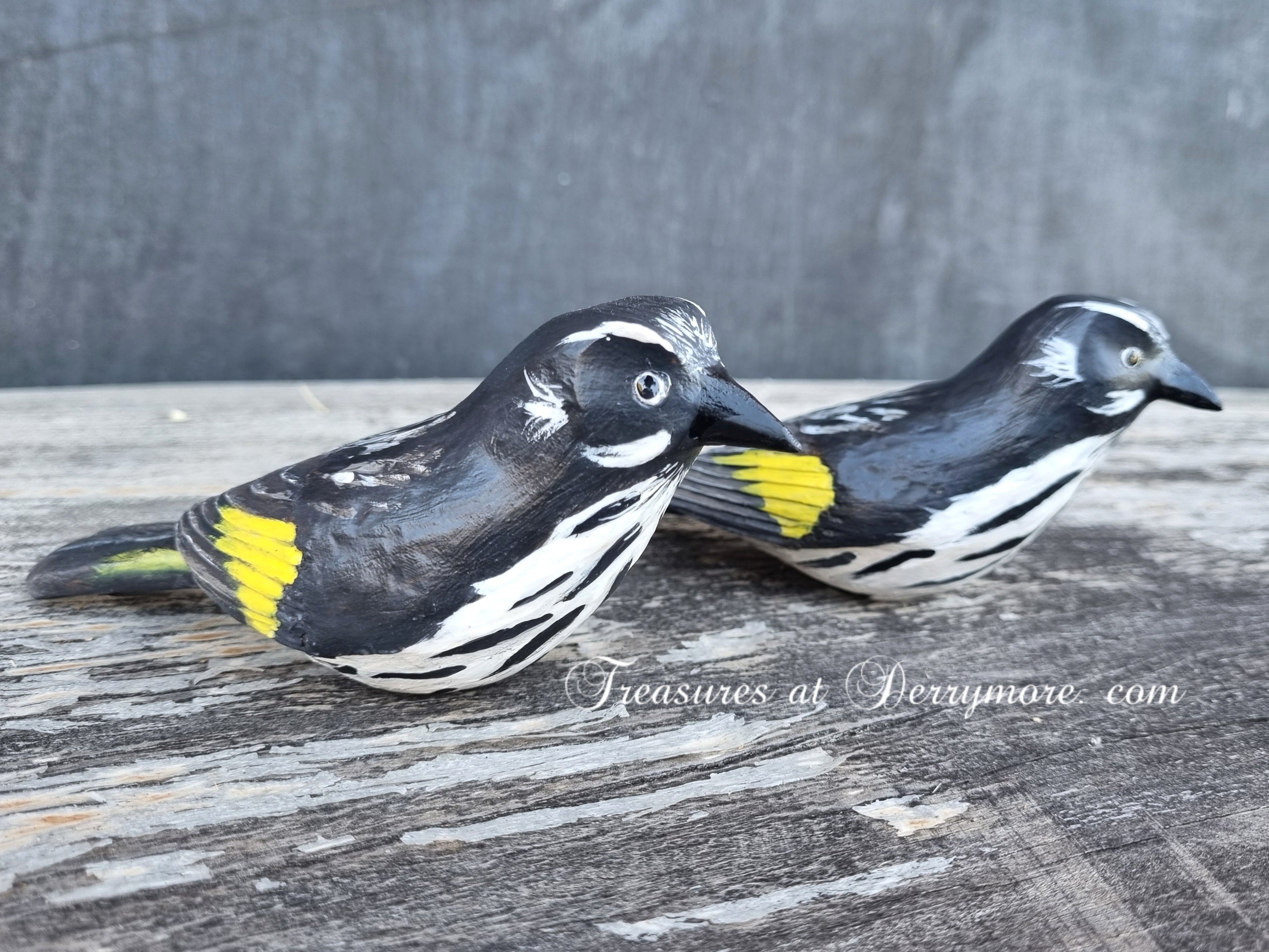 Side view of hand carved & painted Australian bird, New
Holland Honeyeater wooden sculpture 