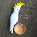 Spoon- Sulpher Crested Cockatoo