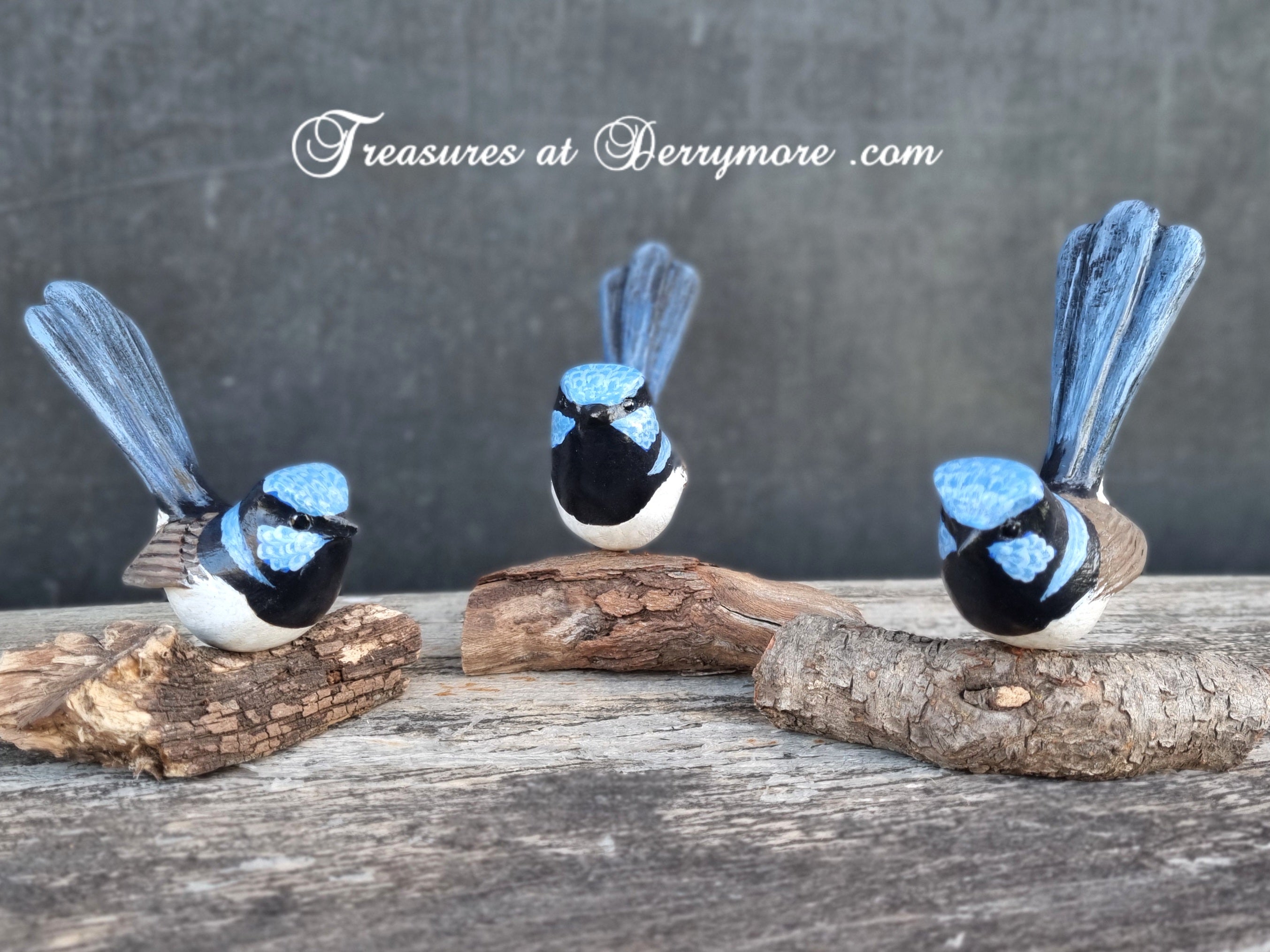Hand carved Australian bird,Superb Fairy wren. Mounted on natural branch