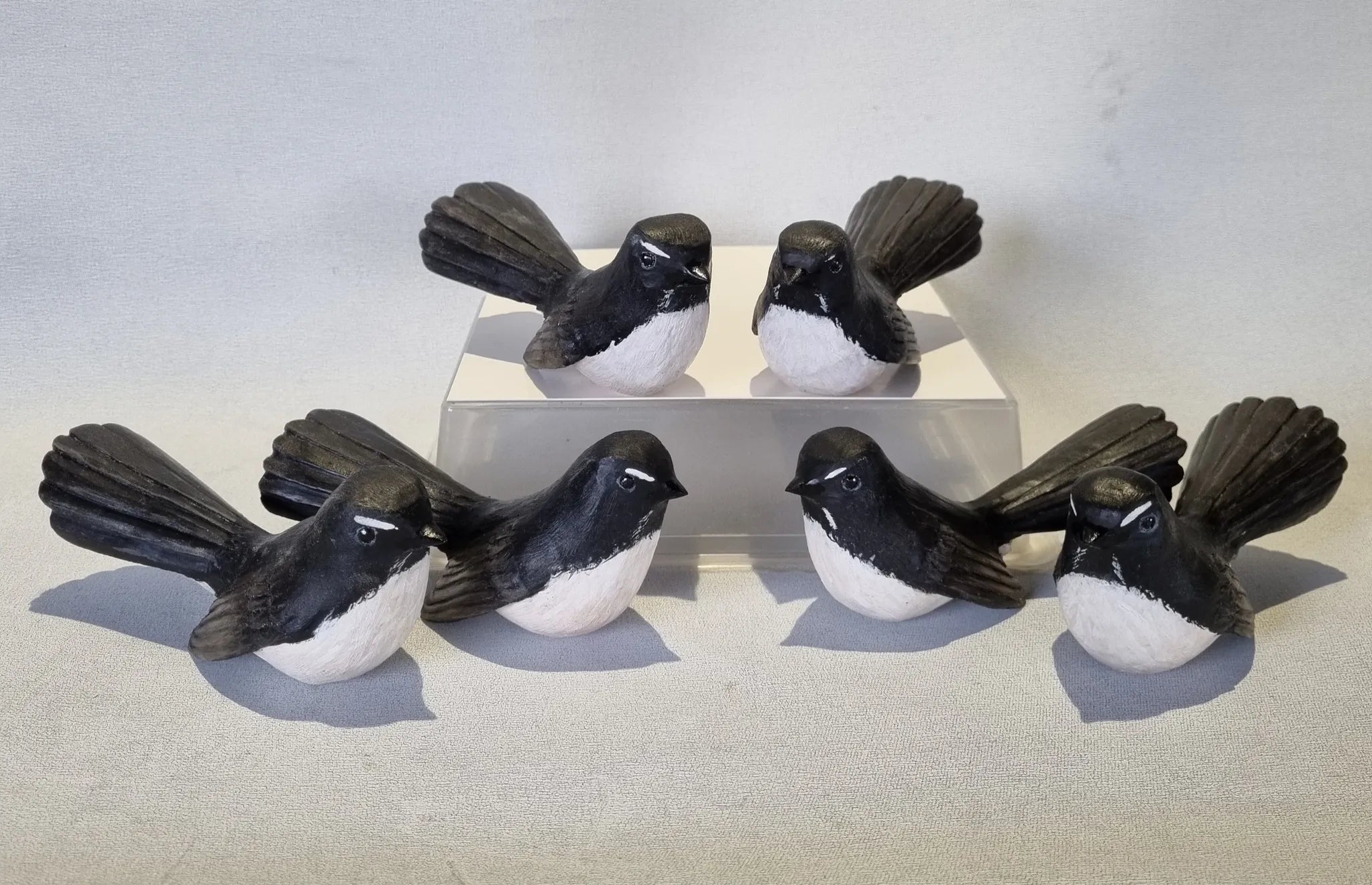 Bird - Williewagtail
