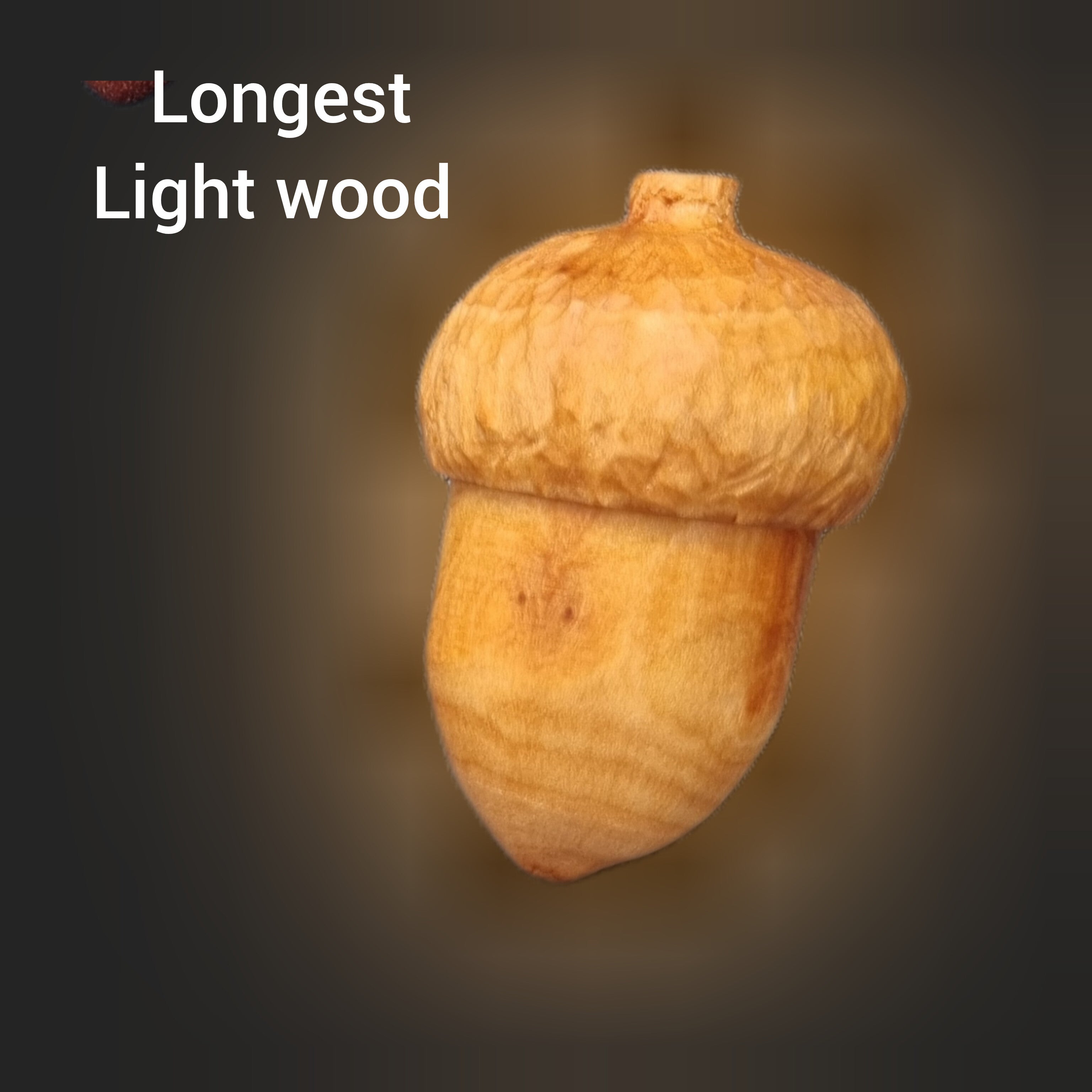 A single hand carved wooden acorn-shaped ring box made from light wood, centered on a dark blurred background with the text 'Longest Light wood' in the upper left.