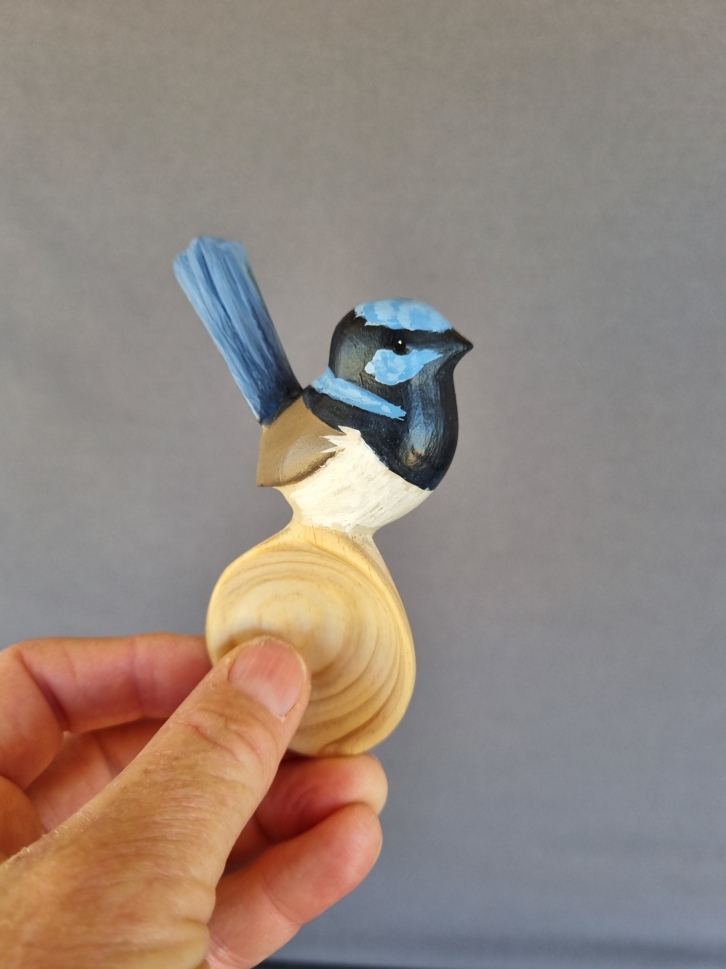 Australian Bird Spoon, painted
