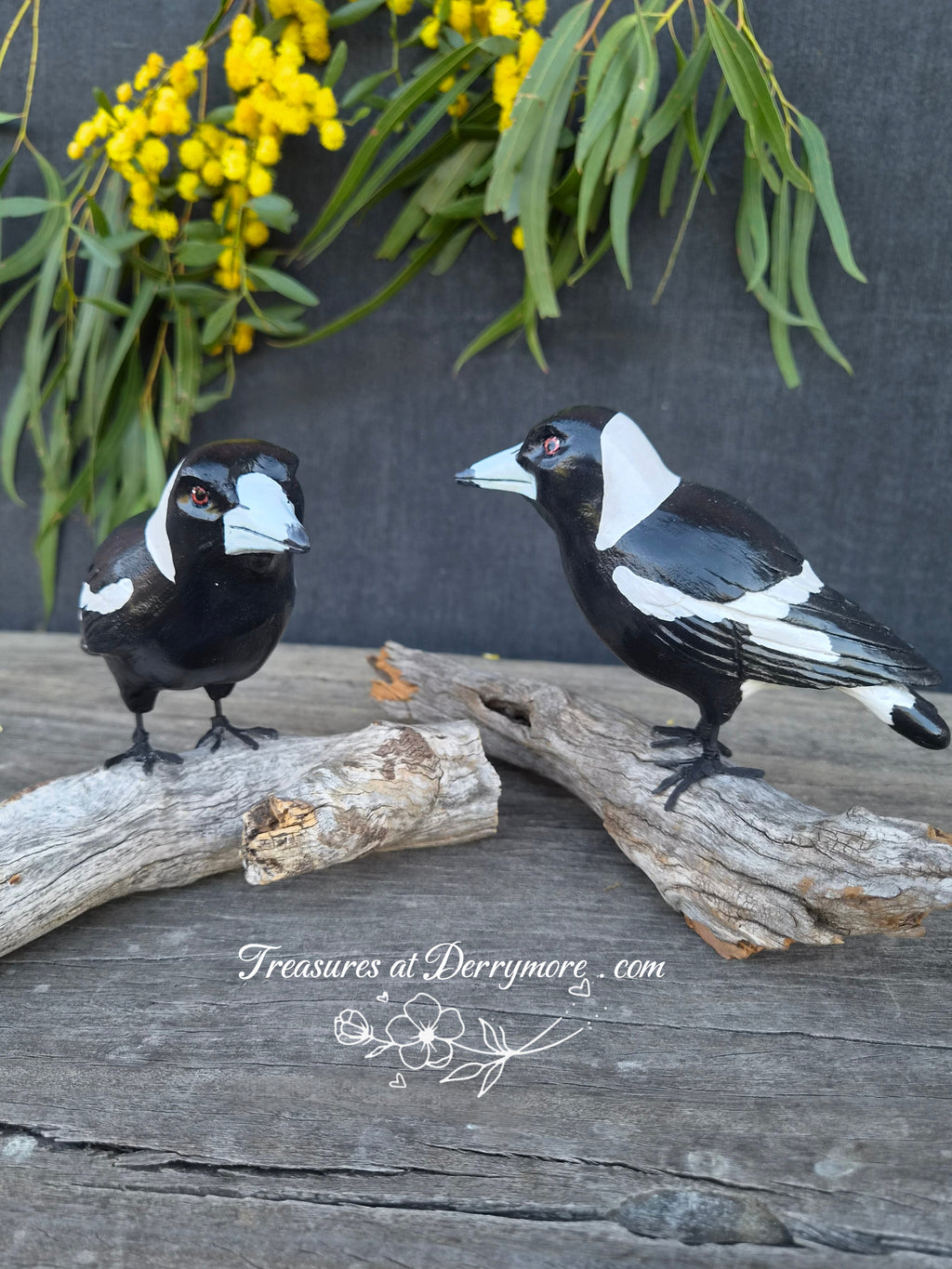 Hand carved Australian Magpie sculptures, mounted & perched on a natural piece of fallen tree branch 