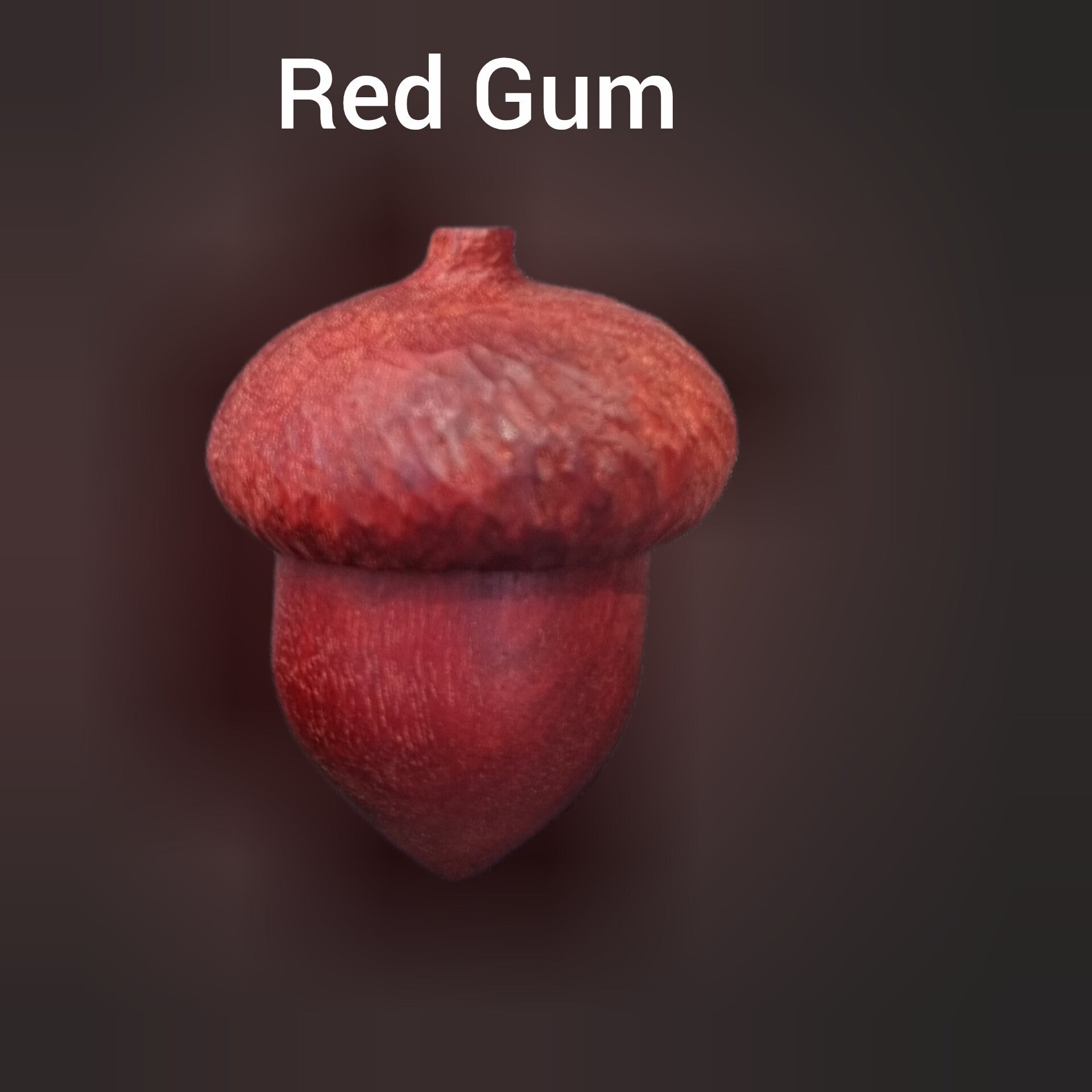 Hand carved red acorn ring box with the text 'Red Gum' written above it, set against a dark brown gradient background.