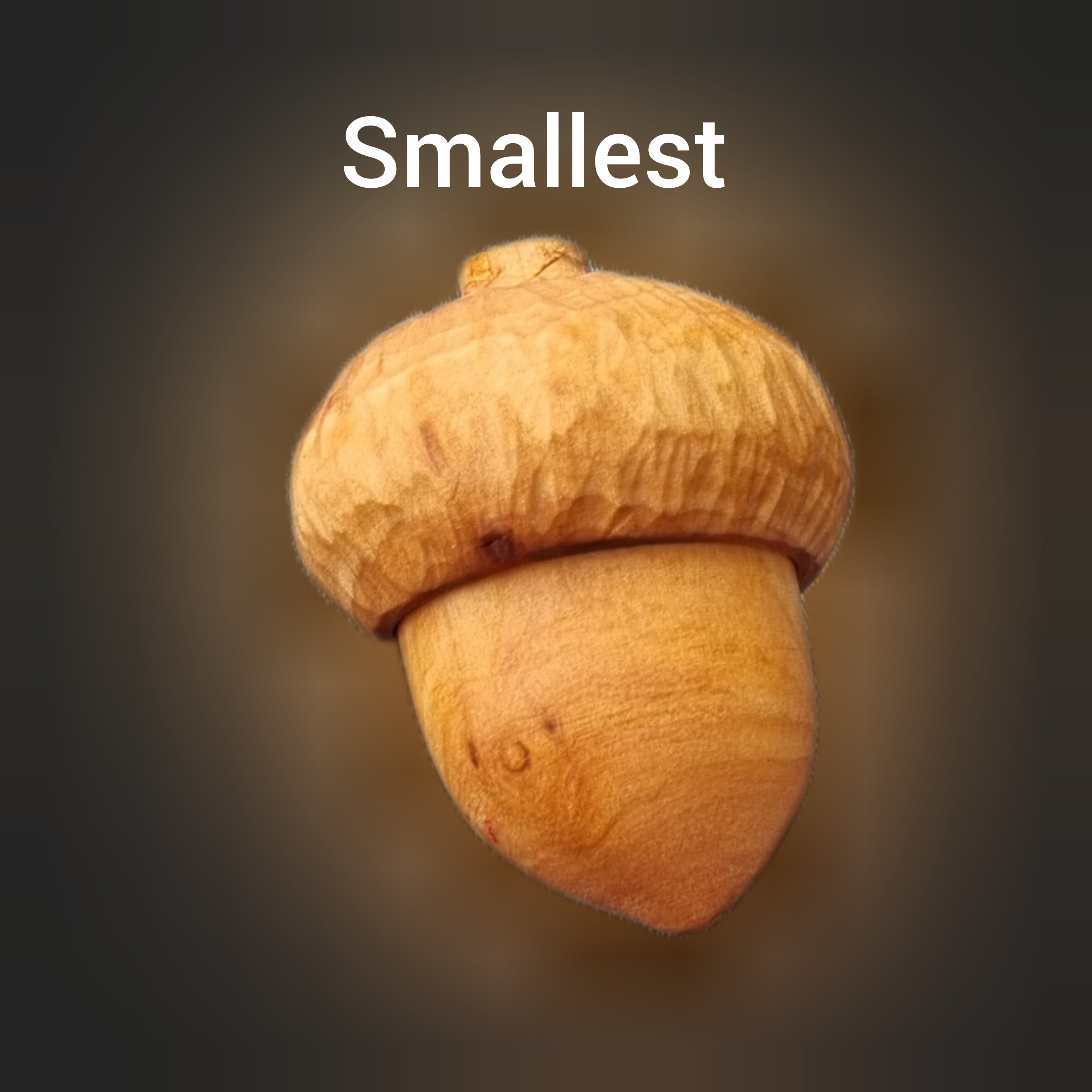 A single hand carved acorn ring box centered on a dark gradient background with the word 'Smallest' above it in white text.